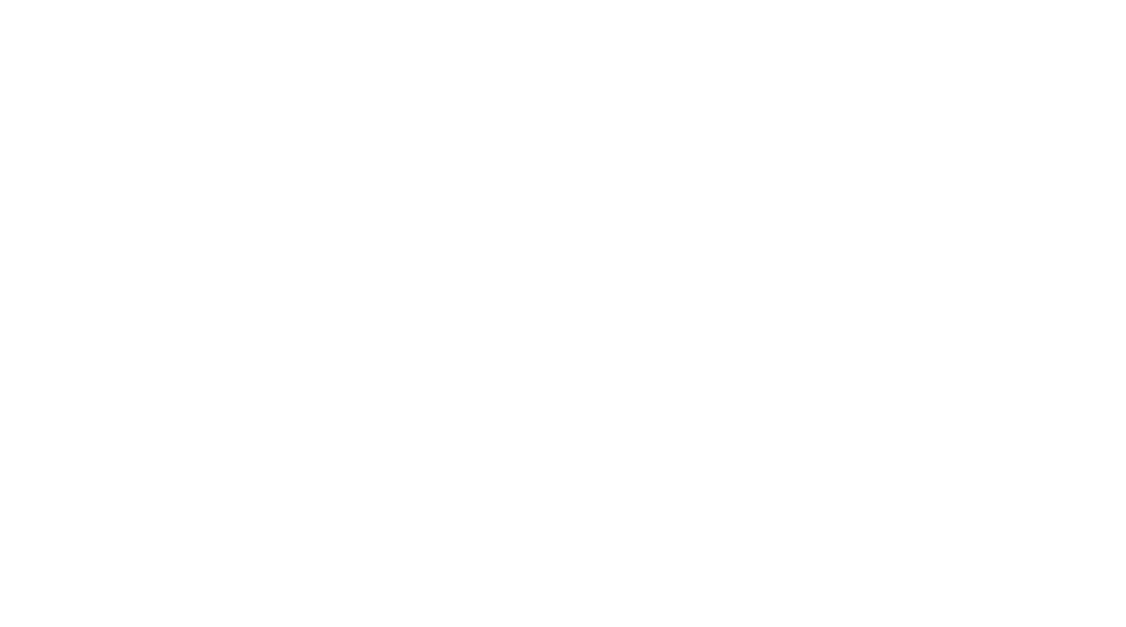 Lojacorr S.A.