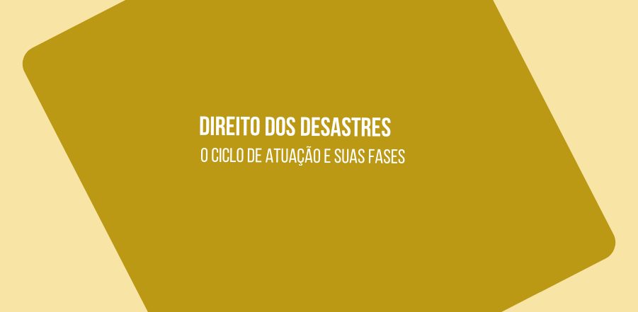 Featured image for “Direito dos desastres: o ciclo de atuação e suas fases”