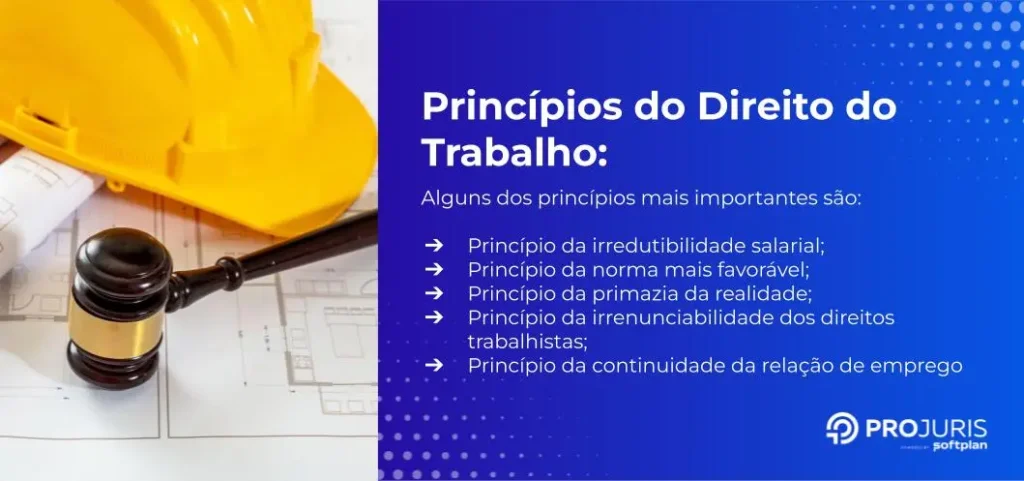 lista de princípios do direito do trabalho