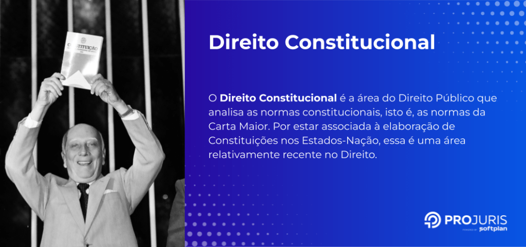 entenda o conceito de direito constitucional
