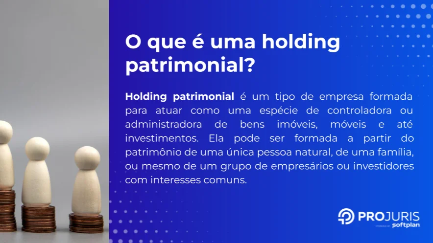 conceito de holding patrimonial